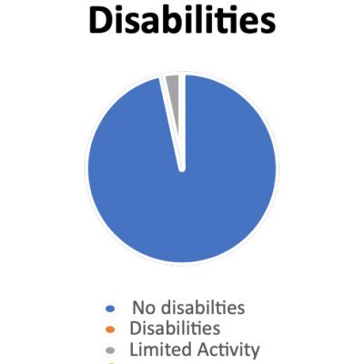 Diversity Statement-disabilities