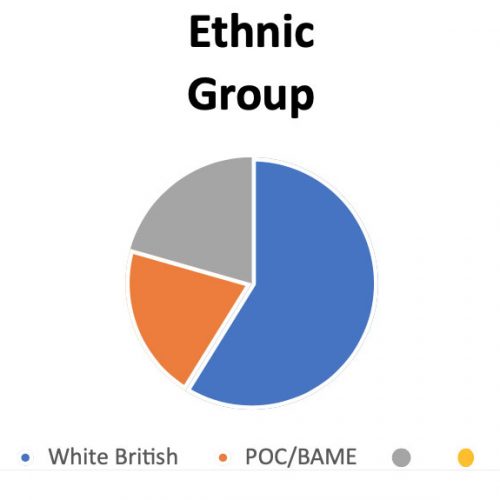 Diversity Statement-ethnic-group2
